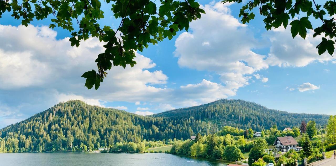 Le Chalet Au Bord Du Lac Gérardmer Buitenkant foto