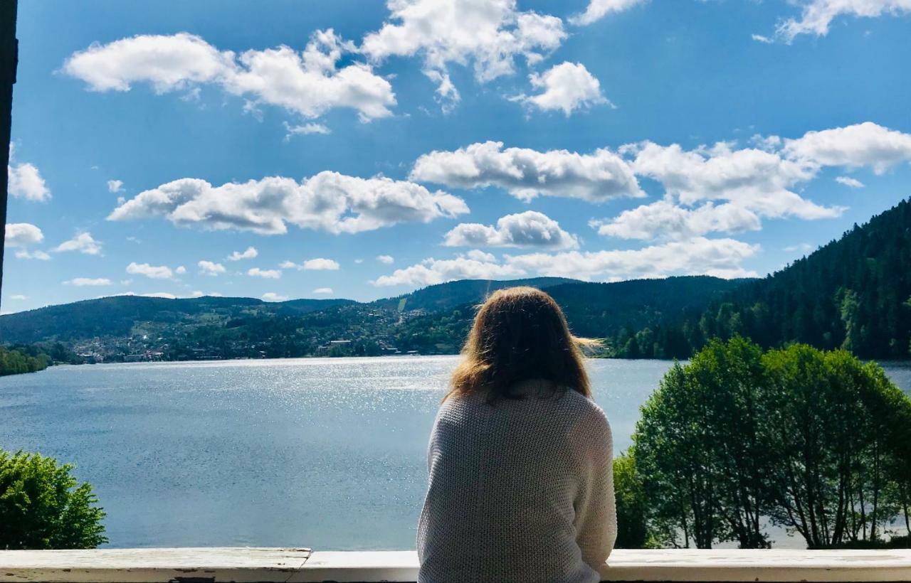 Le Chalet Au Bord Du Lac Gérardmer Buitenkant foto